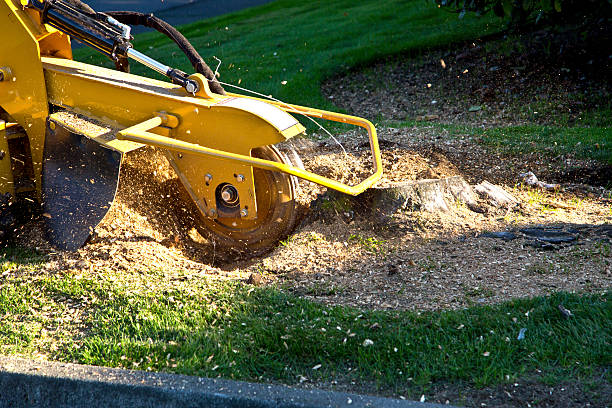 Best Artificial Turf Installation  in New Hackensack, NY