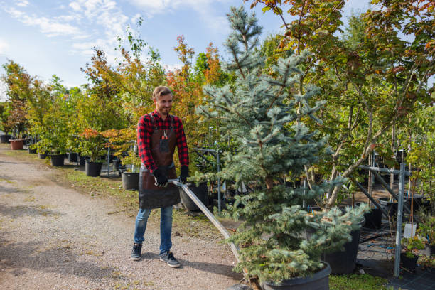 Best Tree Preservation Services  in New Hackensack, NY